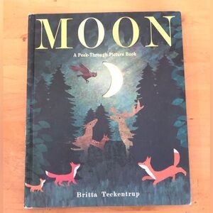 Moon Peek-Through Picture Book by Britta Teckentrup 2017 hardcover